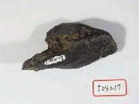 藏品(破骨一塊)的圖片